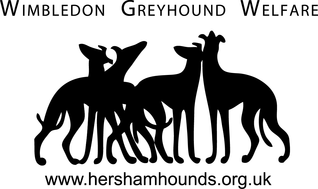 Wimbledon Greyhound Welfare