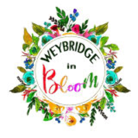 Weybridge in Bloom