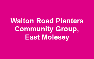 Walton Road Planters Community Group, East Molesey